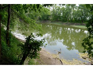 Property photo 72 - FARM & LAND AUCTION - 125+/- ACRES OFFERED IN 5 TRACTS IN EAST ALLEN COUNTY, INDIANA